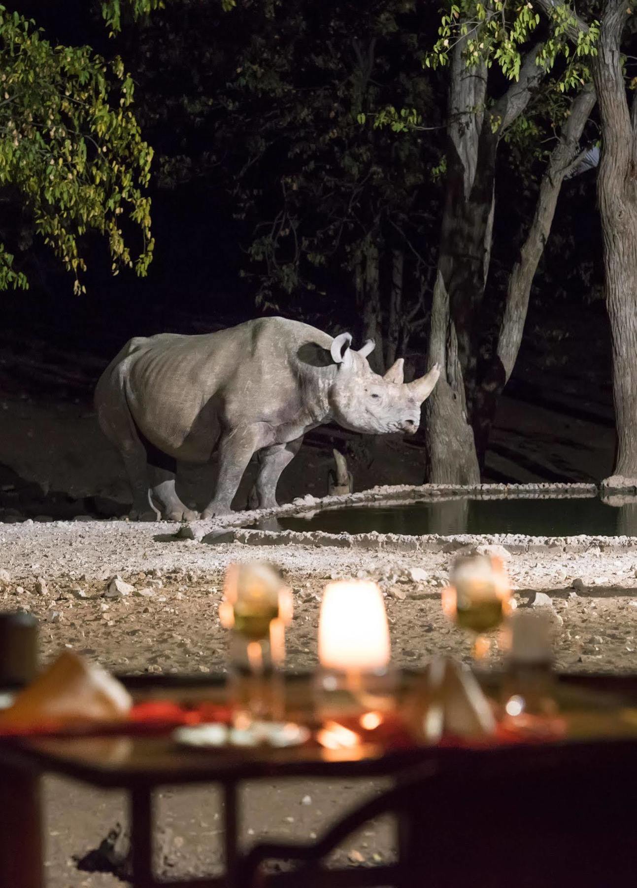 Ongava Tented Camp - All-Inclusive Okaukuejo Esterno foto