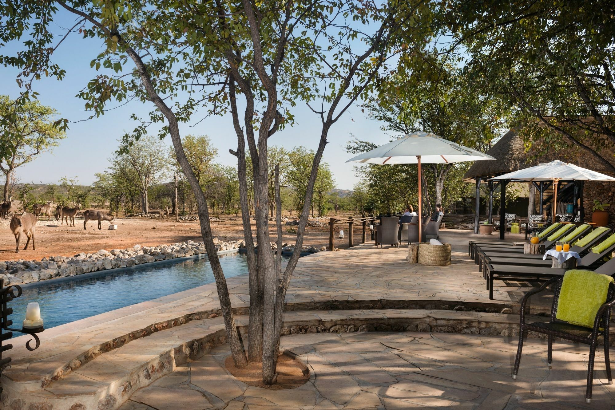 Ongava Tented Camp - All-Inclusive Okaukuejo Esterno foto