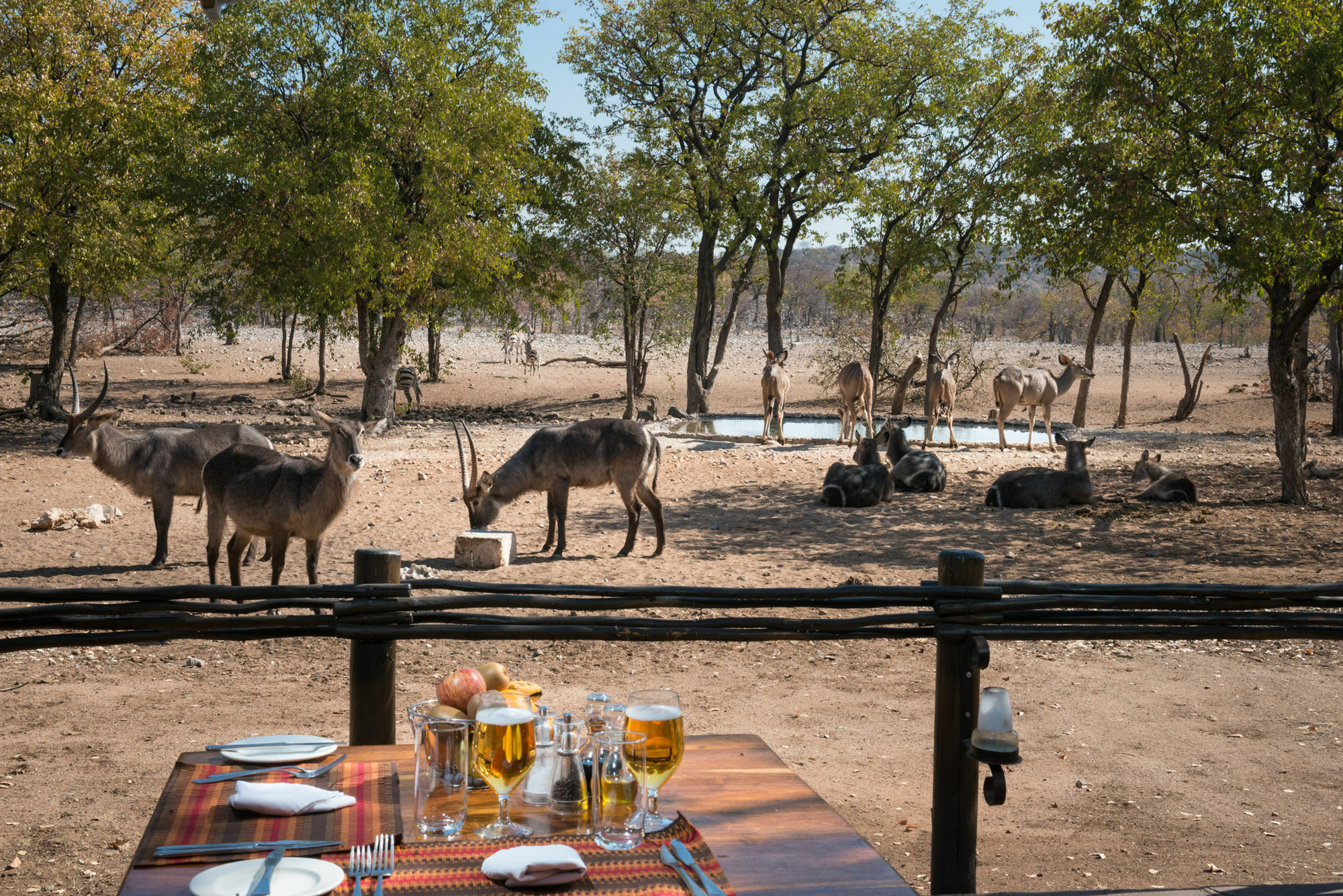Ongava Tented Camp - All-Inclusive Okaukuejo Esterno foto